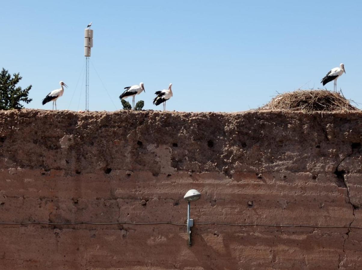 Stork Marrakech Luxury Hostel Marrakesh Exterior foto